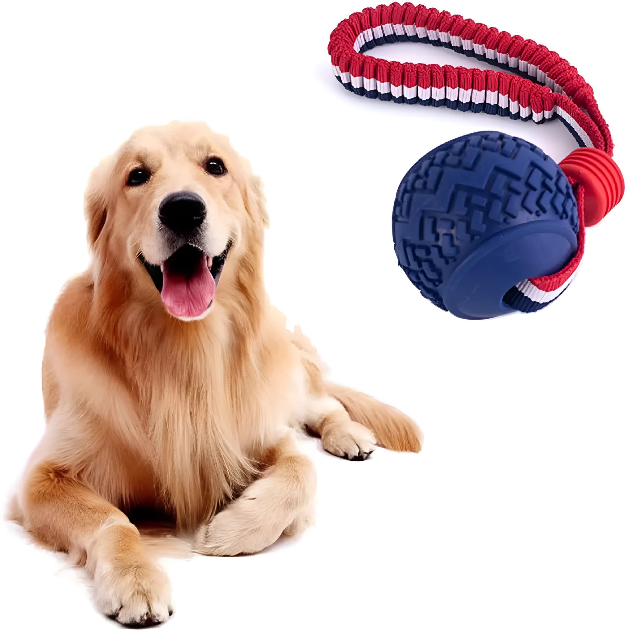 Blue or red natural rubber dog ball with rope toy for small and medium dogs featuring textured surface for teeth cleaning