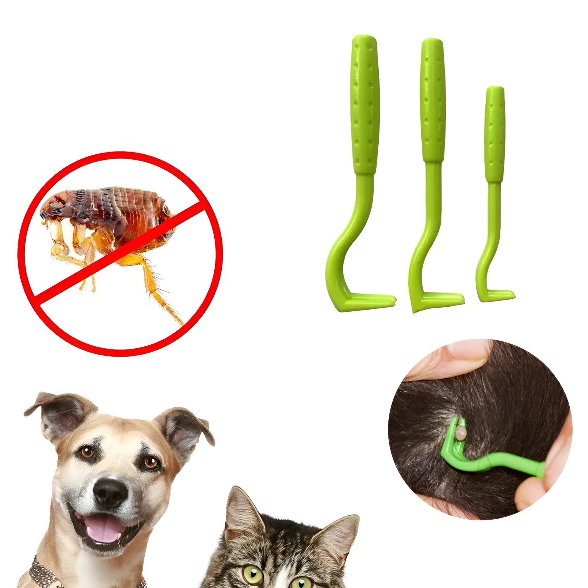 Blue and green plastic pet tick removal clips on a white background