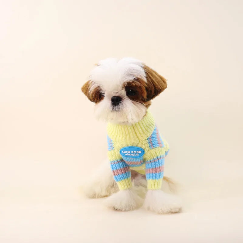 Blue and yellow striped wool sweater for small dog breeds on a white background