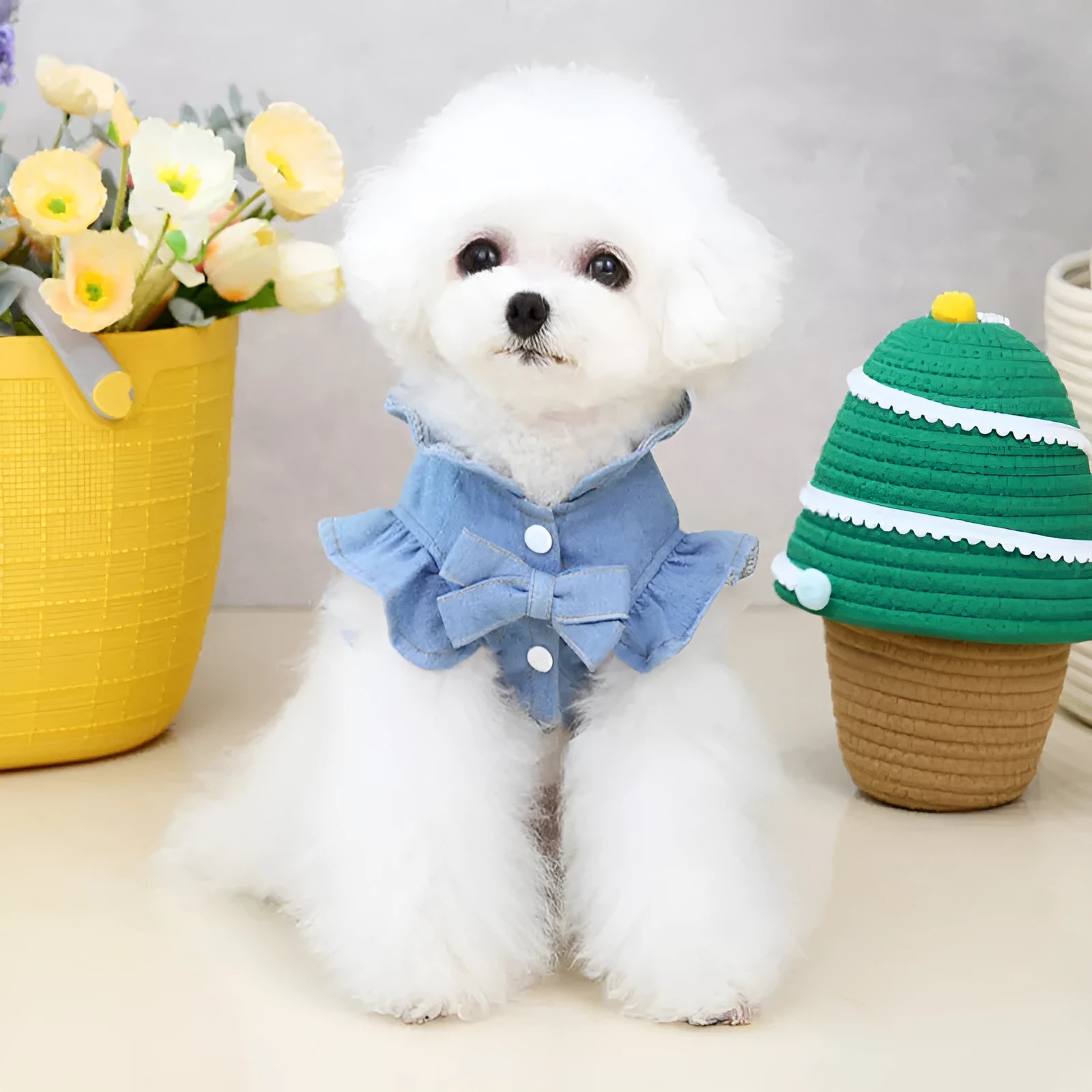 Denim pet dress with ruffles vest design and leash hooks for dogs and cats in blue