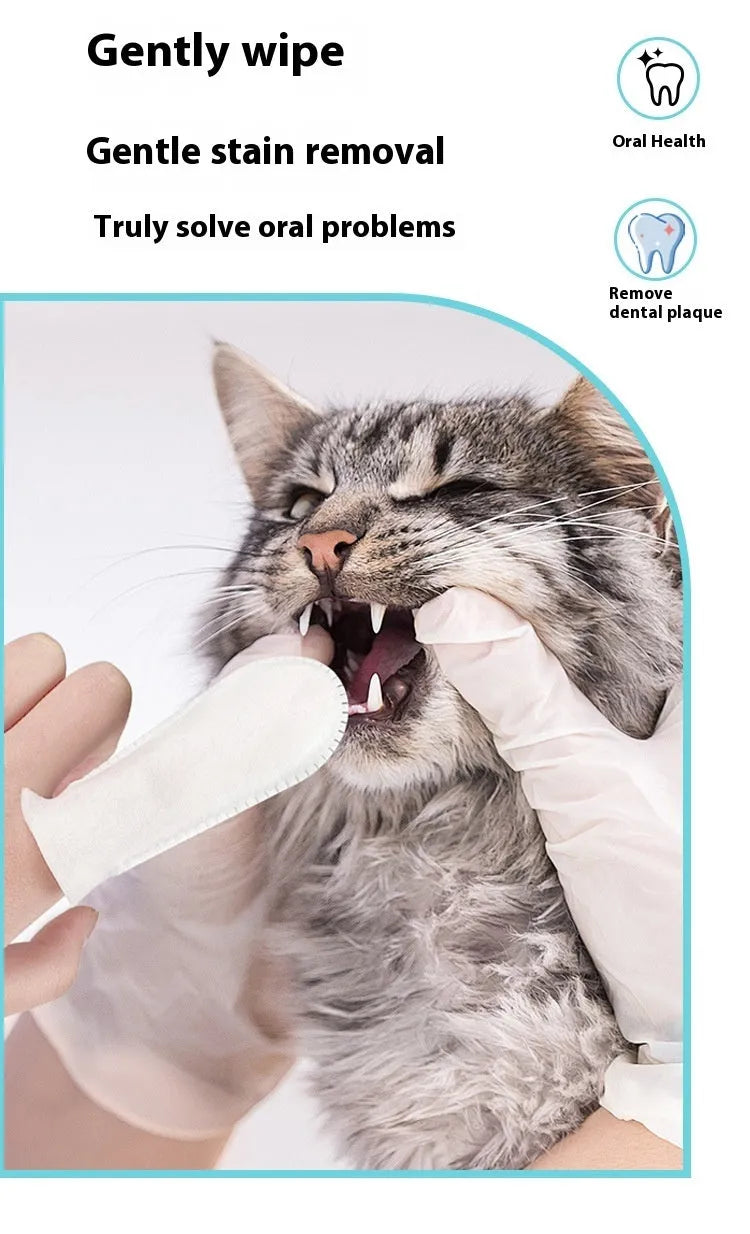 Pack of 50 pet dental cleaning finger stalls made from non-woven fabric for cat and dog oral hygiene