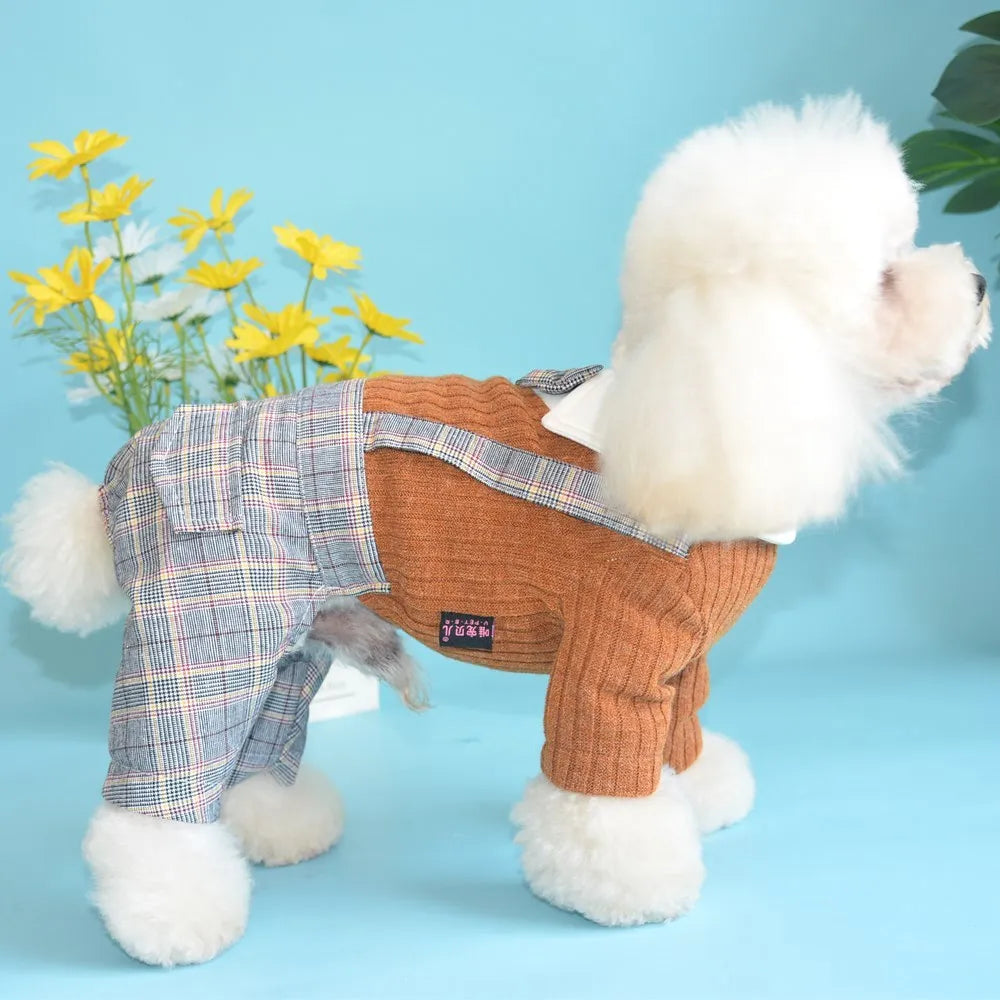 Orange and dark blue cotton dog shirt suit for small dogs on a hanger