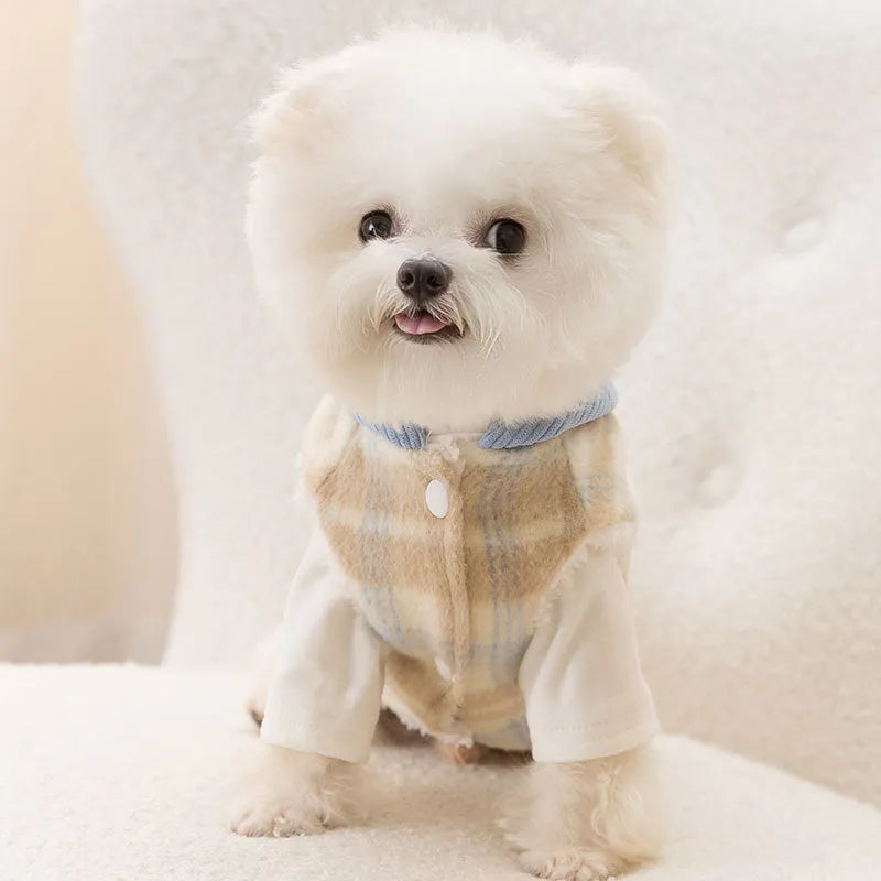 Blue chessboard grid hooded dog vest with traction features on corduroy fabric