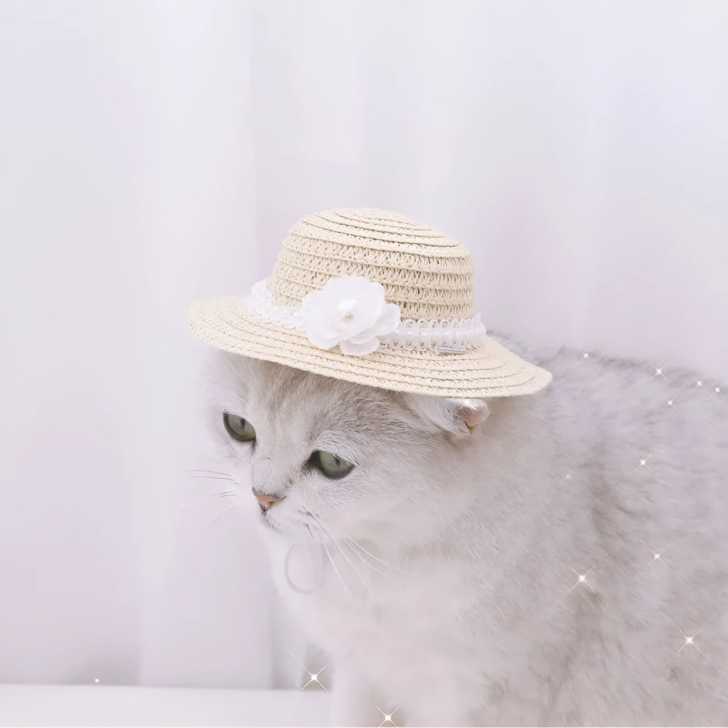 Handmade adjustable bowknot paper pet hat for dogs and cats in cartoon style