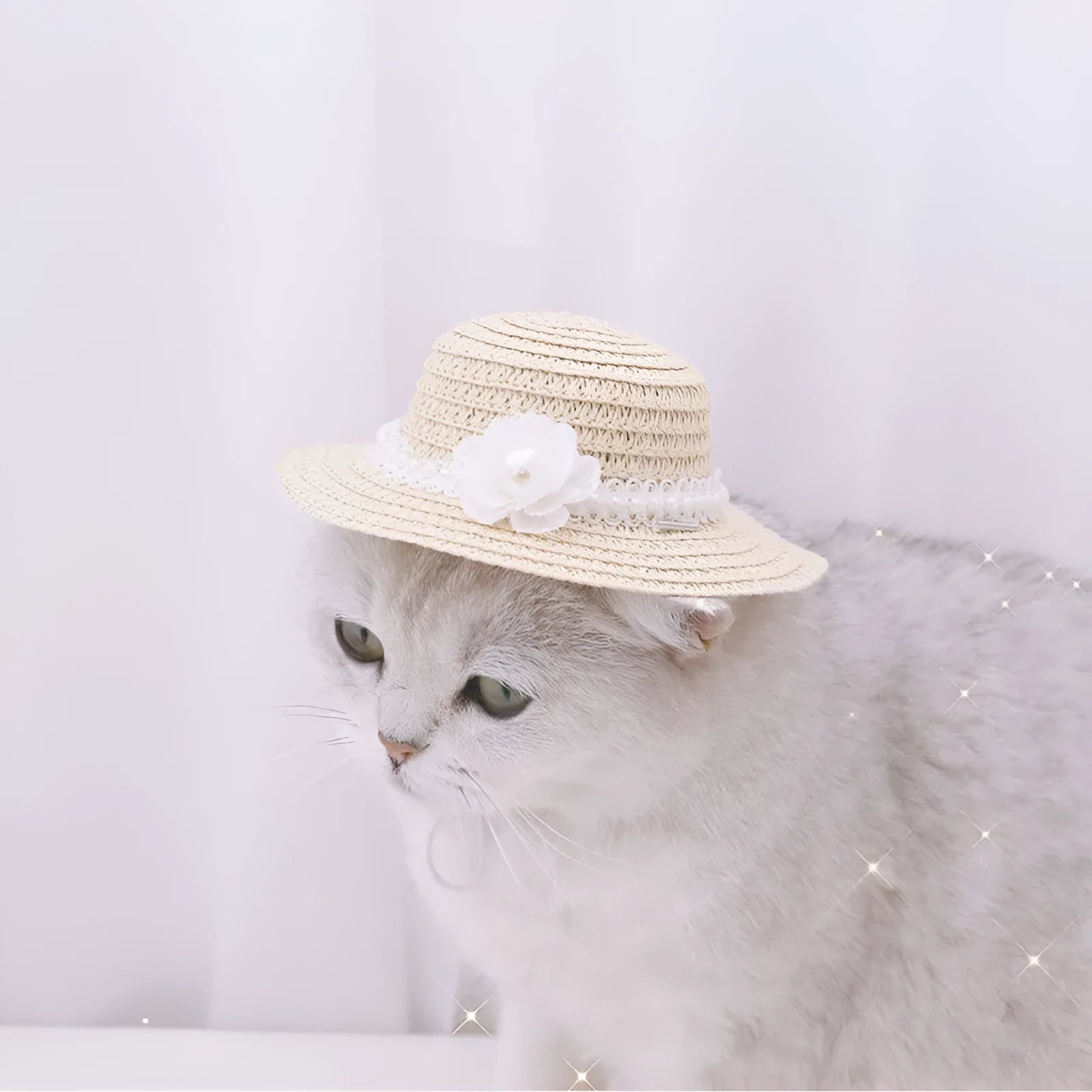 Handmade adjustable bowknot paper pet hat for dogs and cats in cartoon style