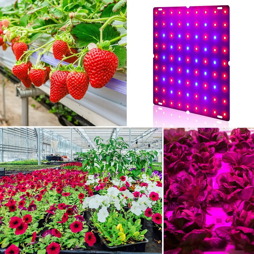 D-section aluminium LED plant growth lamp for indoor fruit and vegetable cultivation.