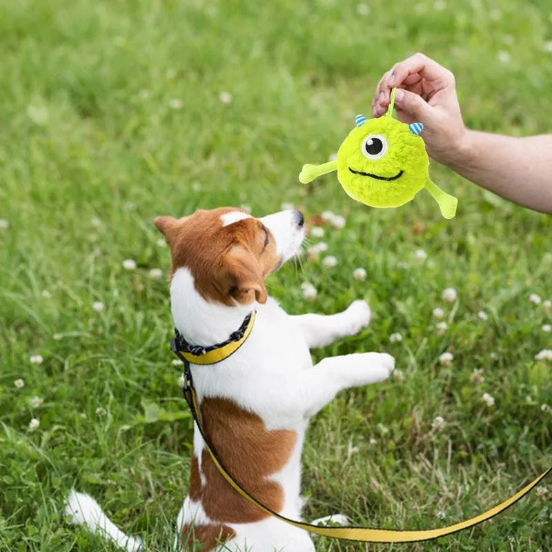 Green interactive dog ball toy with sound activation for teething puppies