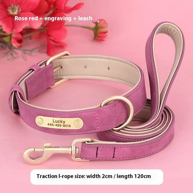Blue double-layer leather dog collar and matching lead for medium-sized dogs.