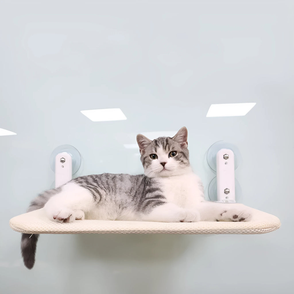 Stainless steel cat hammock with suction cups mounted on a window, showing a foldable seat cushion.