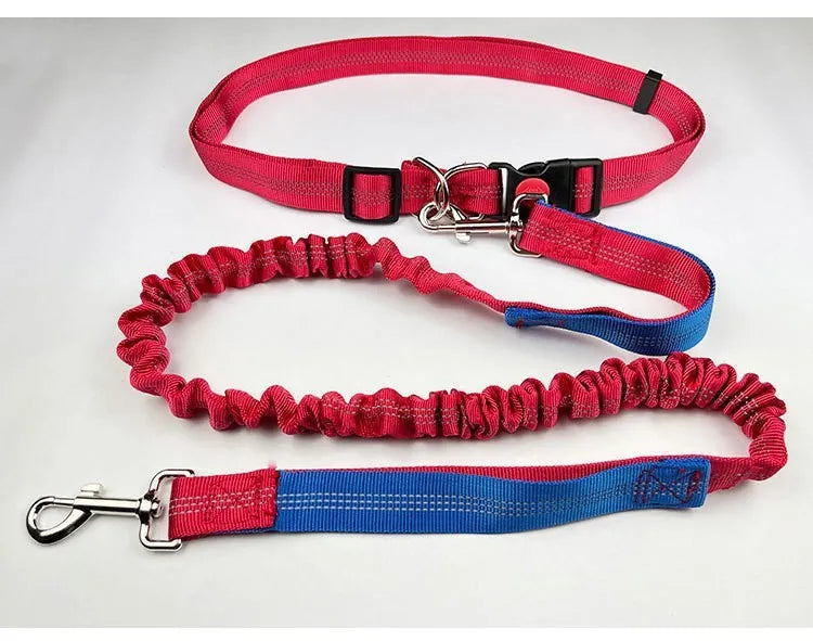 Grey and green two-tone nylon dog leash with reflective threads and an elastic section for outdoor running.