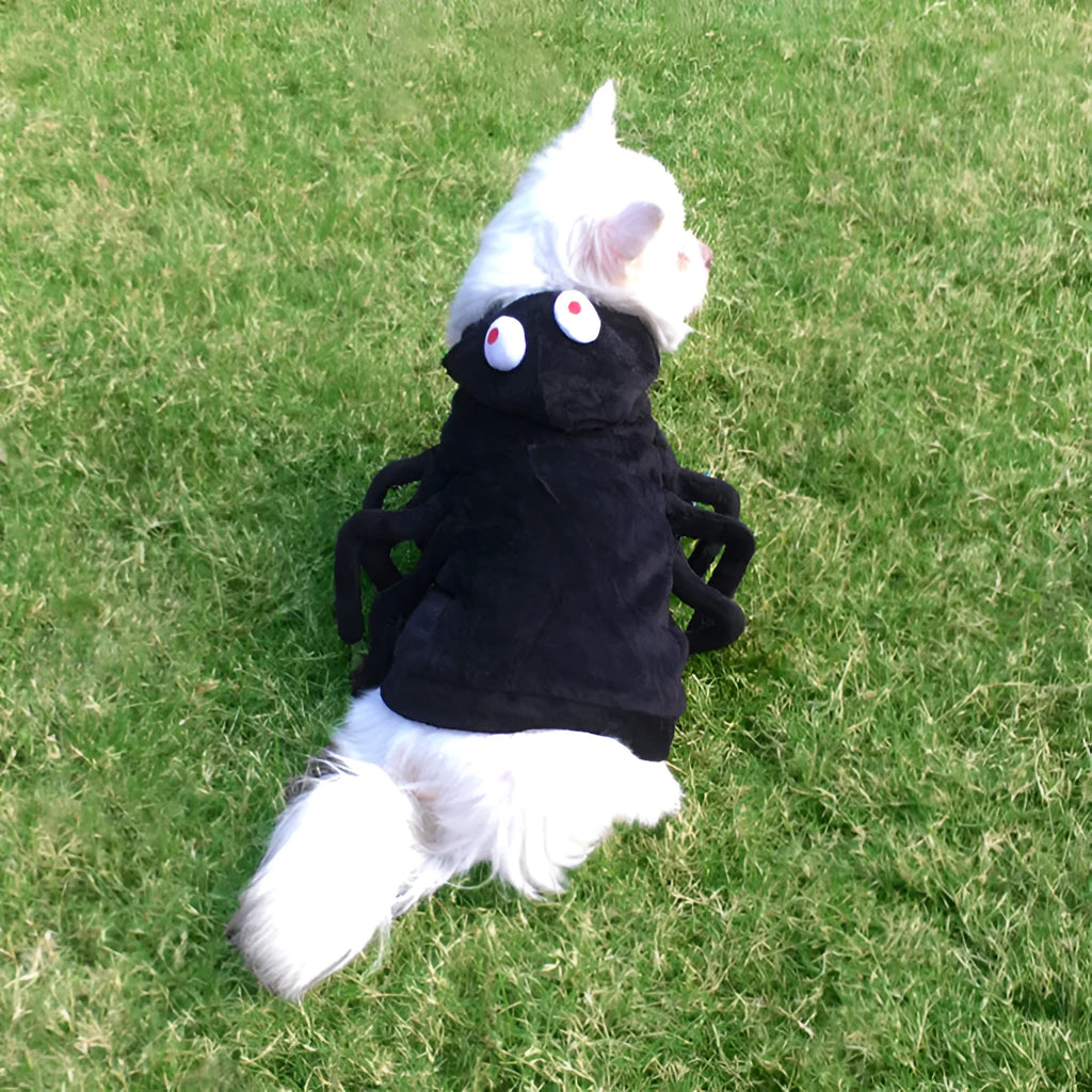 Dog wearing Halloween spider costume with black spider pattern on polyester fabric