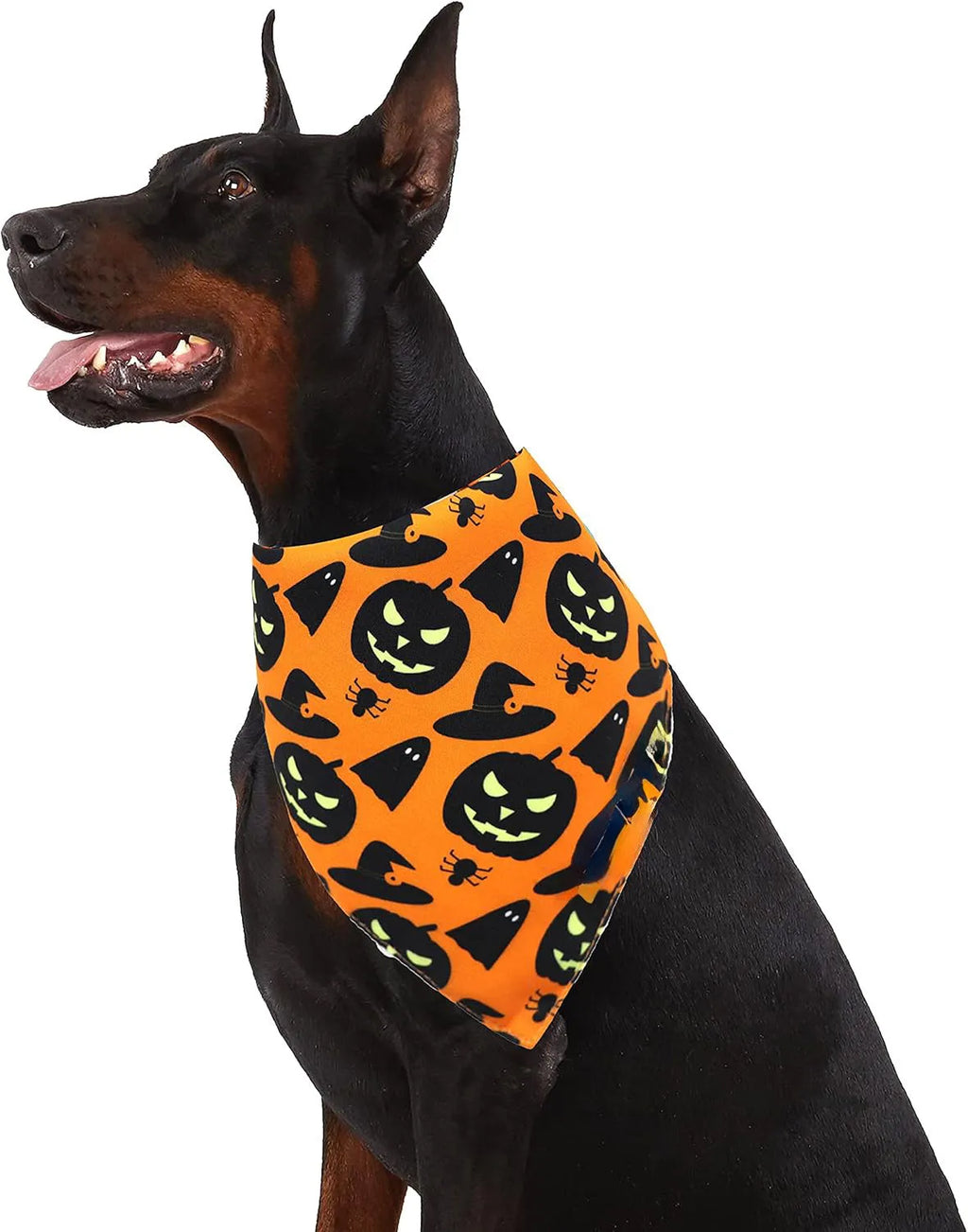 Halloween reversible dog bandana with pumpkin and spider web patterns in black and orange colours