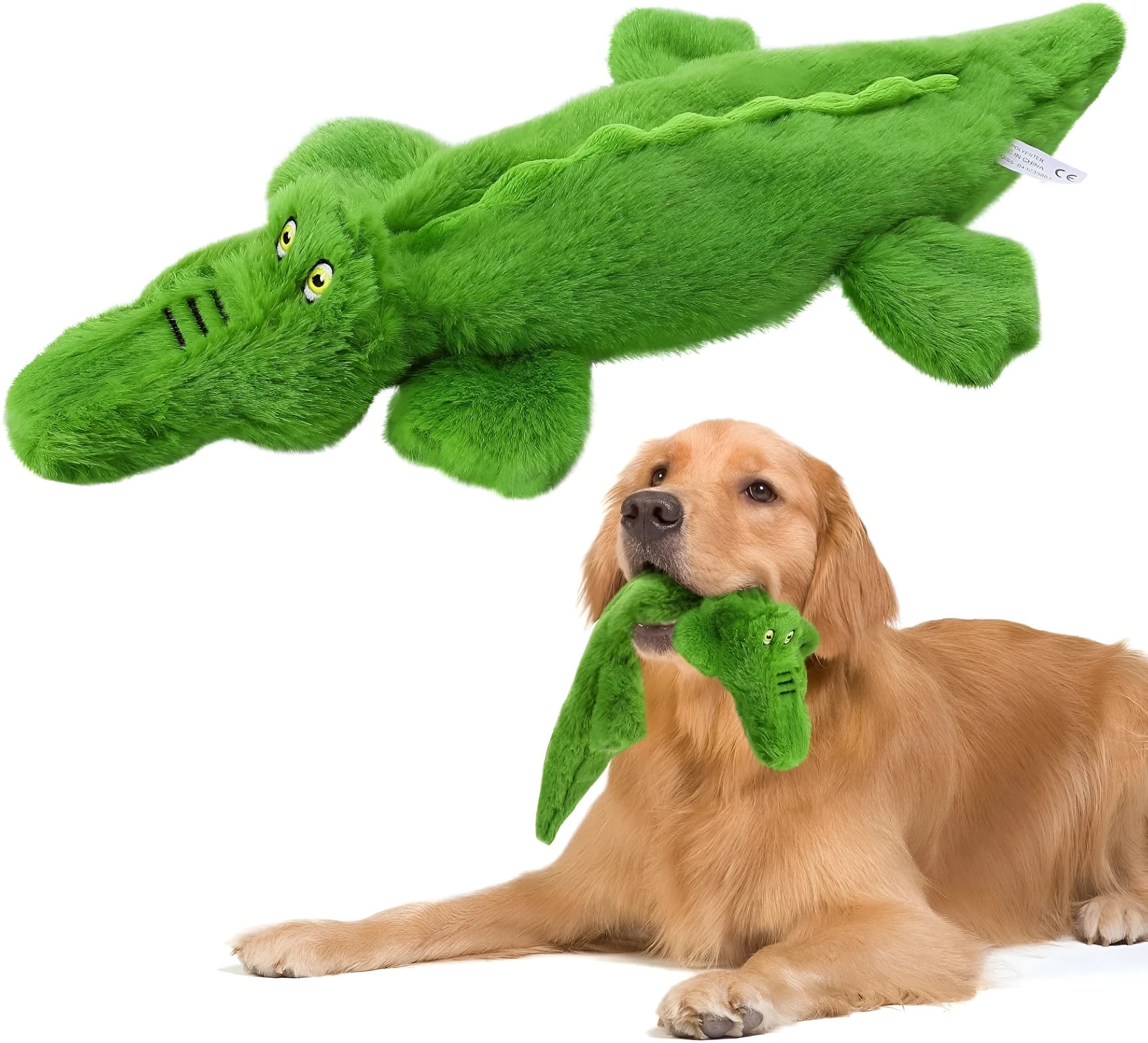 Green crocodile dog toy with no stuffing, squeaker in head and crinkle paper in tail