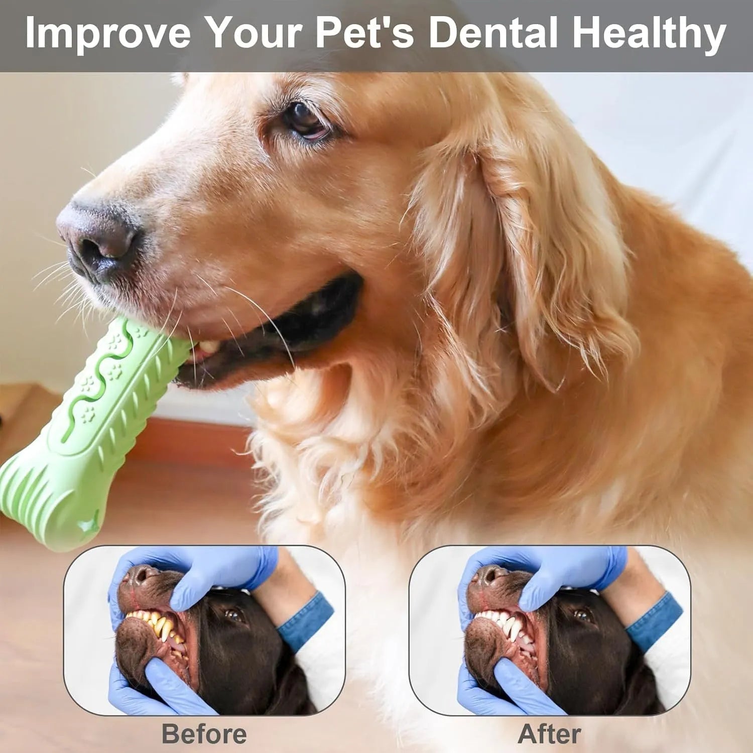 Blue bone-shaped natural rubber dog chew toy with textured surface