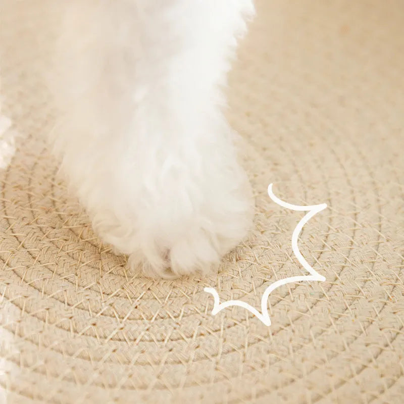 Green oval sisal cat scratching pad and lounge bed measuring 65cm long.
