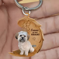 9x9cm square acrylic dog-themed car hanging decoration with picture-style design