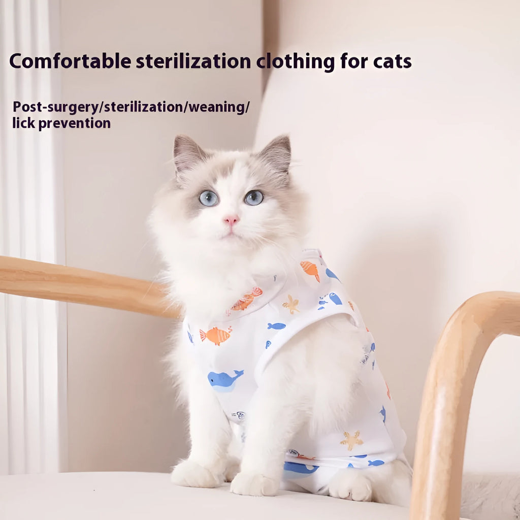 Cat wearing a printed polyester sterilisation recovery suit with velcro fastenings.