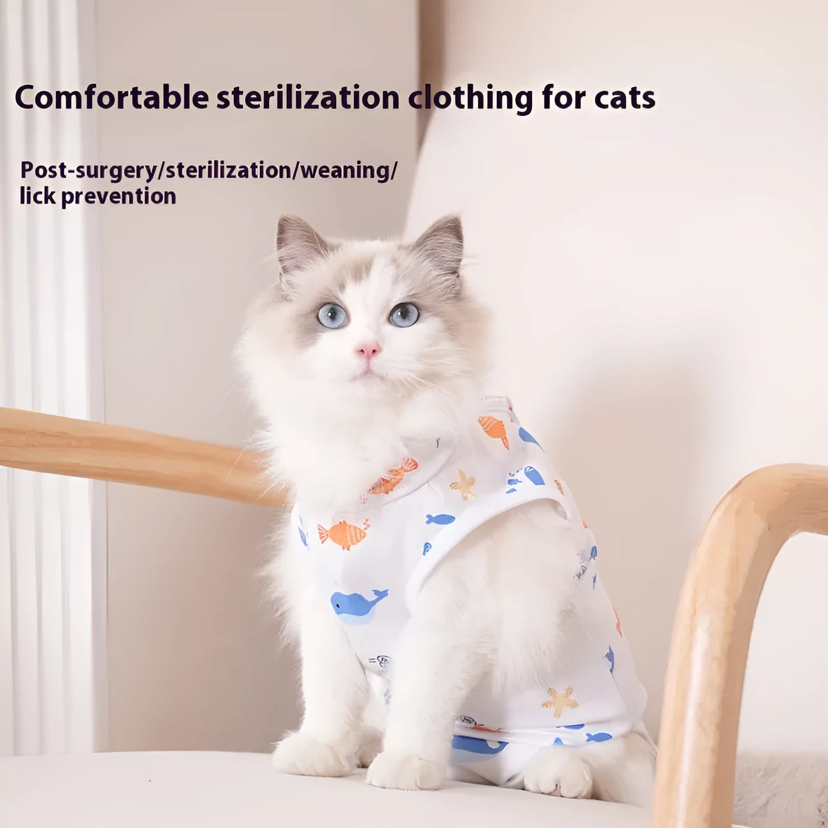 Cat wearing a printed polyester sterilisation recovery suit with velcro fastenings.