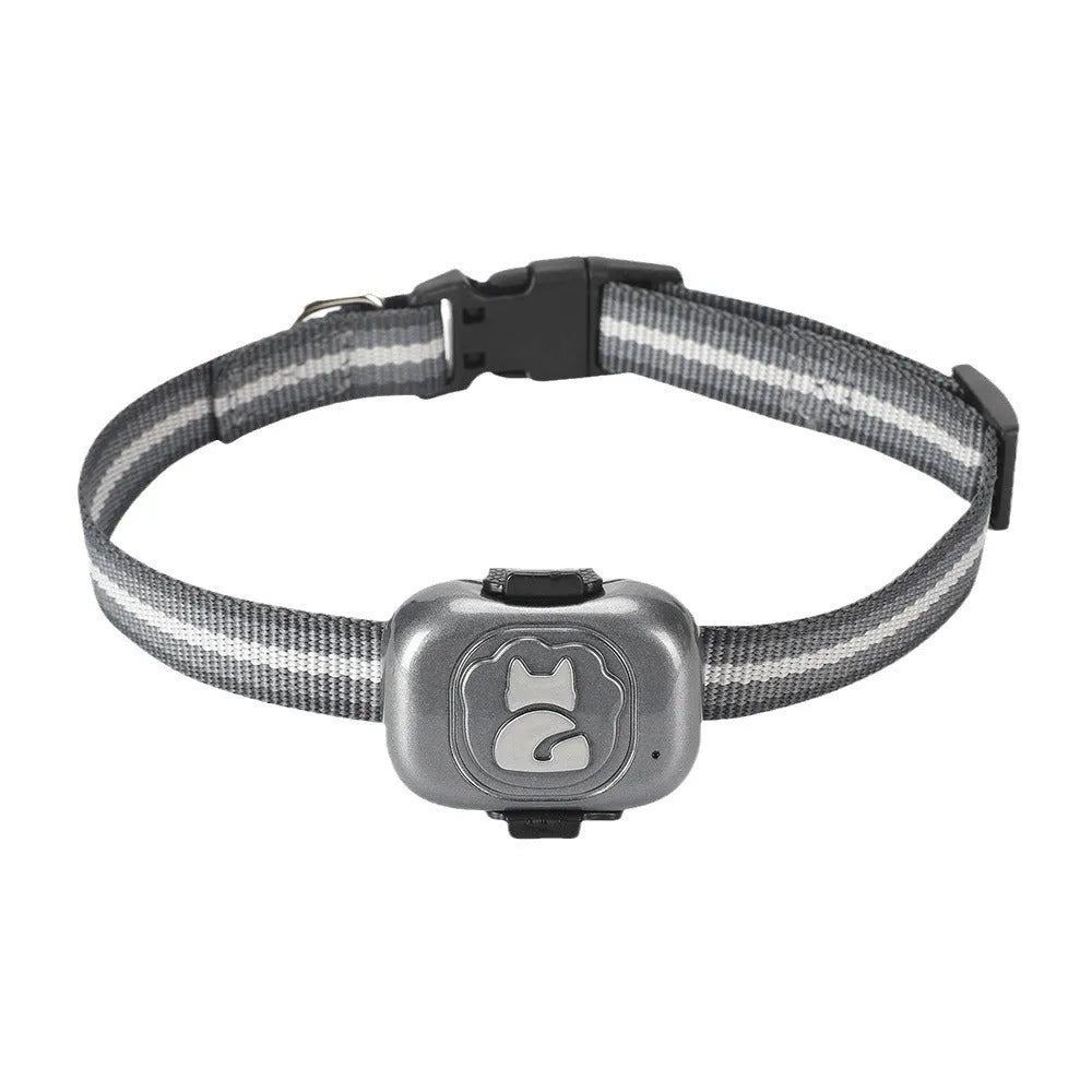 Black pet GPS locator tracker with hanging rope on a pet collar, showing compact design.