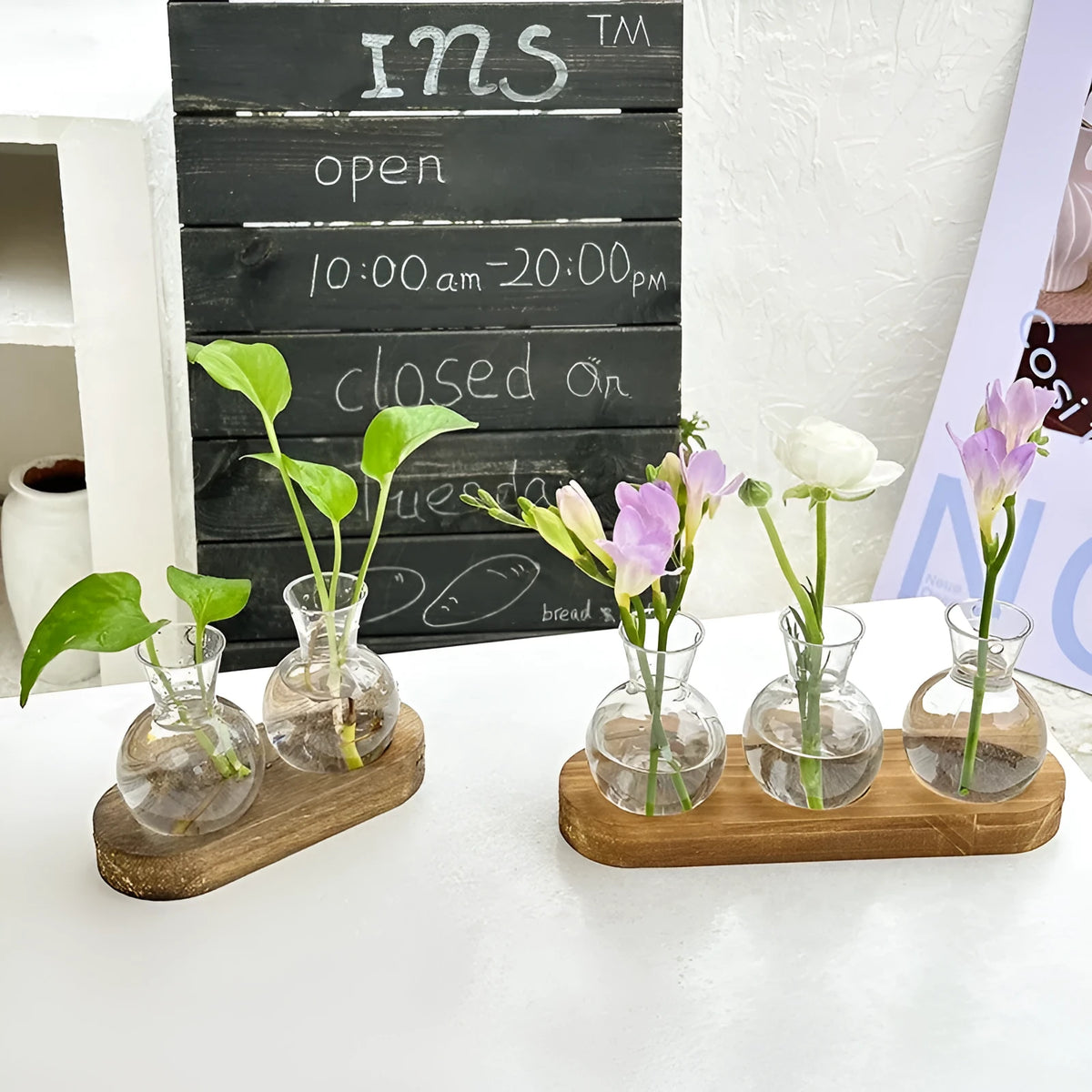 Wooden frame hydroponic vase with transparent glass containers in modern minimalist design
