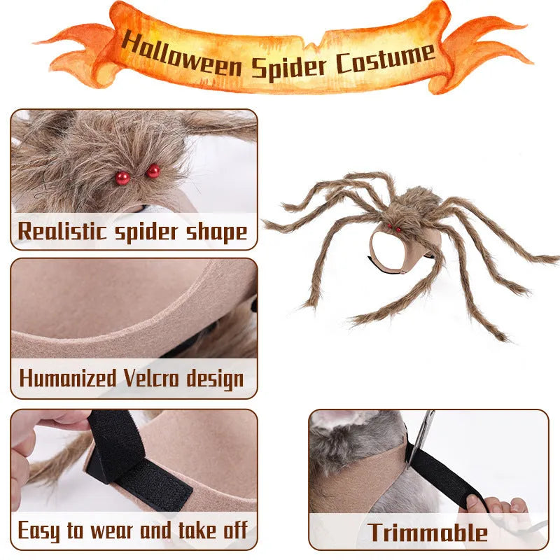 Halloween pet spider costume for dogs and cats in four colour options