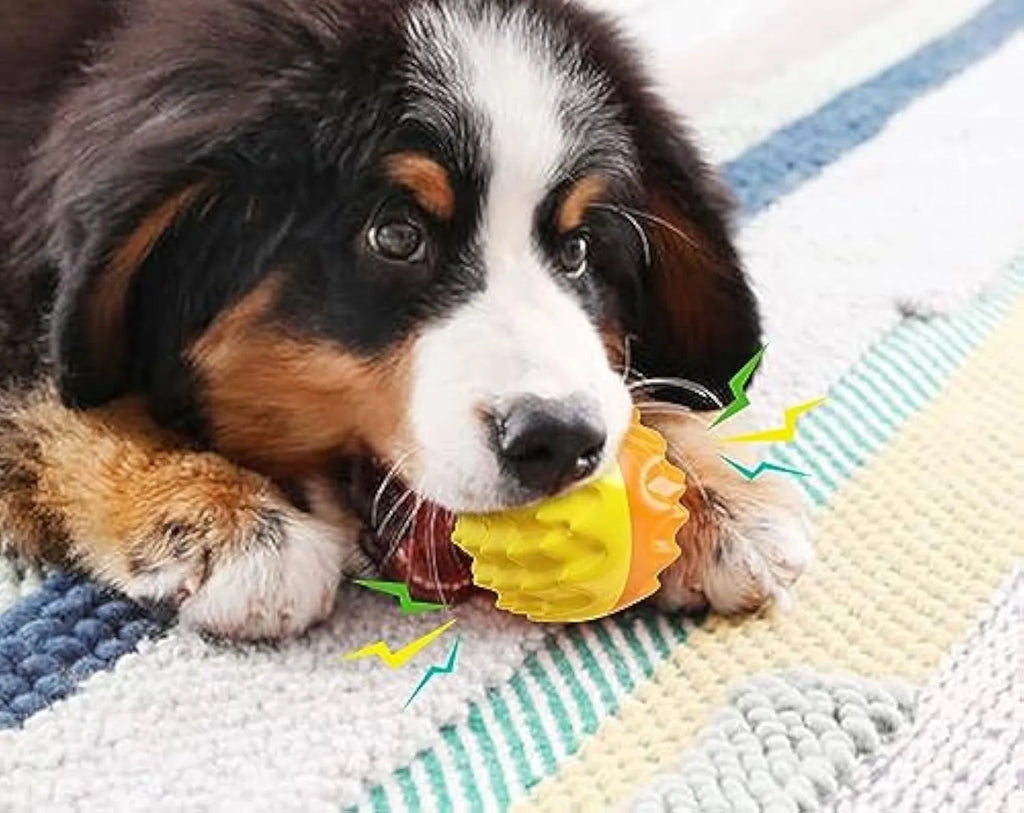 Blue rubber dog ball toy with spiky texture for dental cleaning and squeaky interactive features