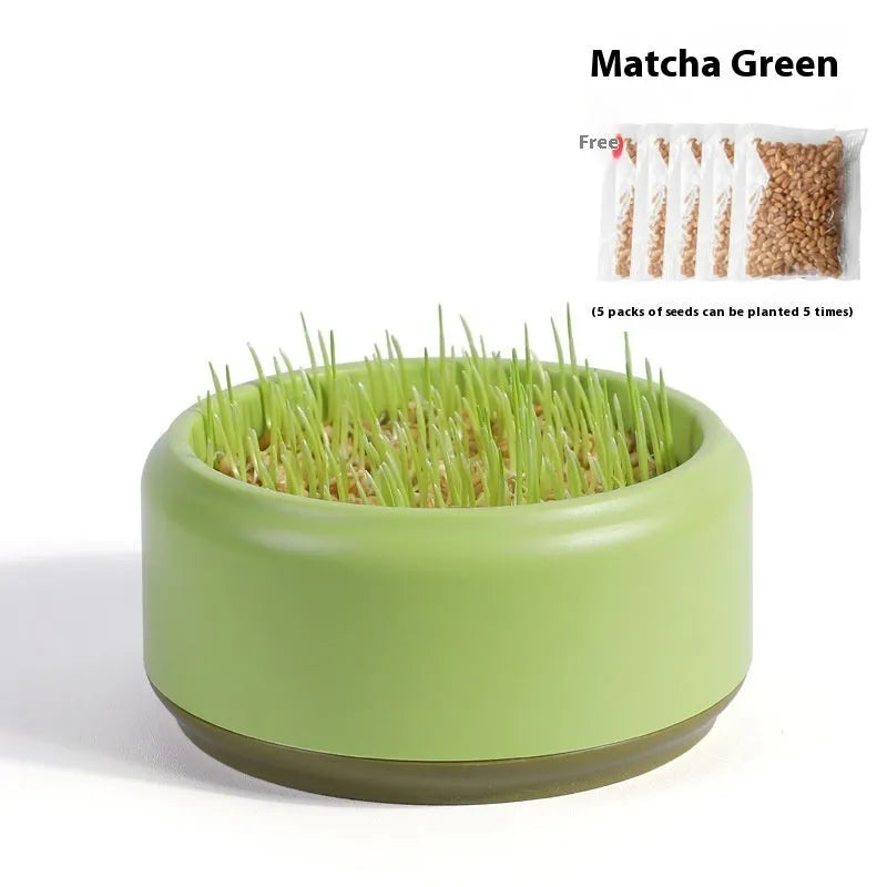 Hydroponic cat grass kit with blue, green and yellow growing cup options and seed packs