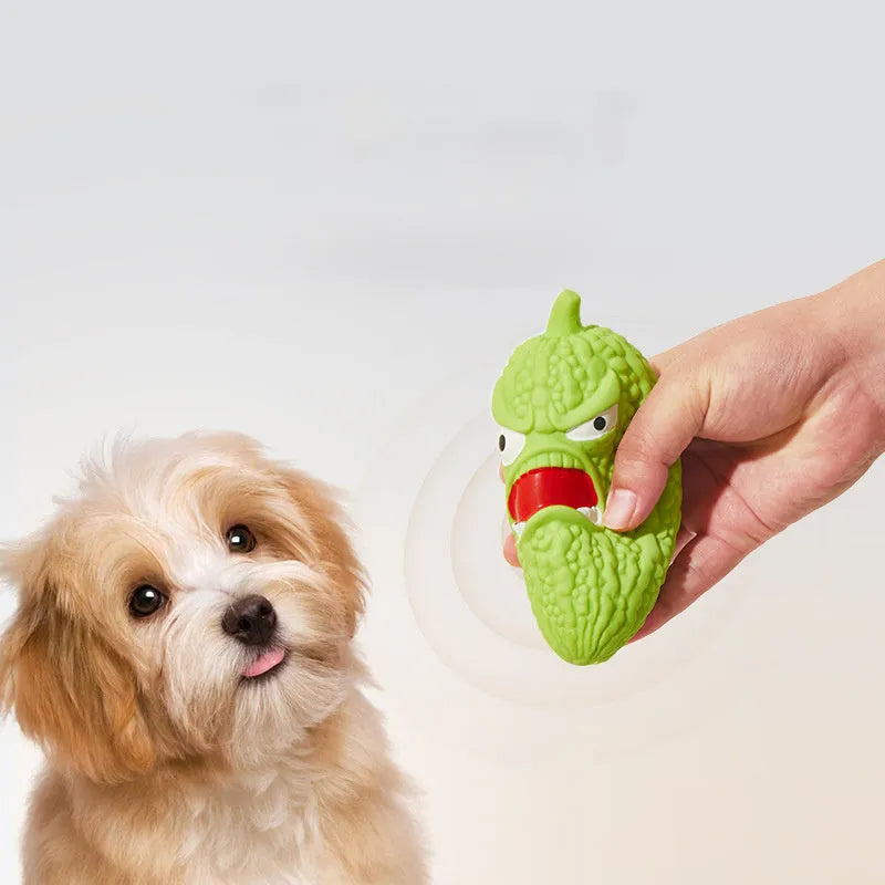 Bitter melon shaped or chili shaped durable plastic dog chew toy with textured surface for teeth cleaning.