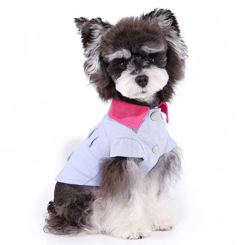 Blue summer dog vest with traction ring on small dog showing lightweight polyester construction