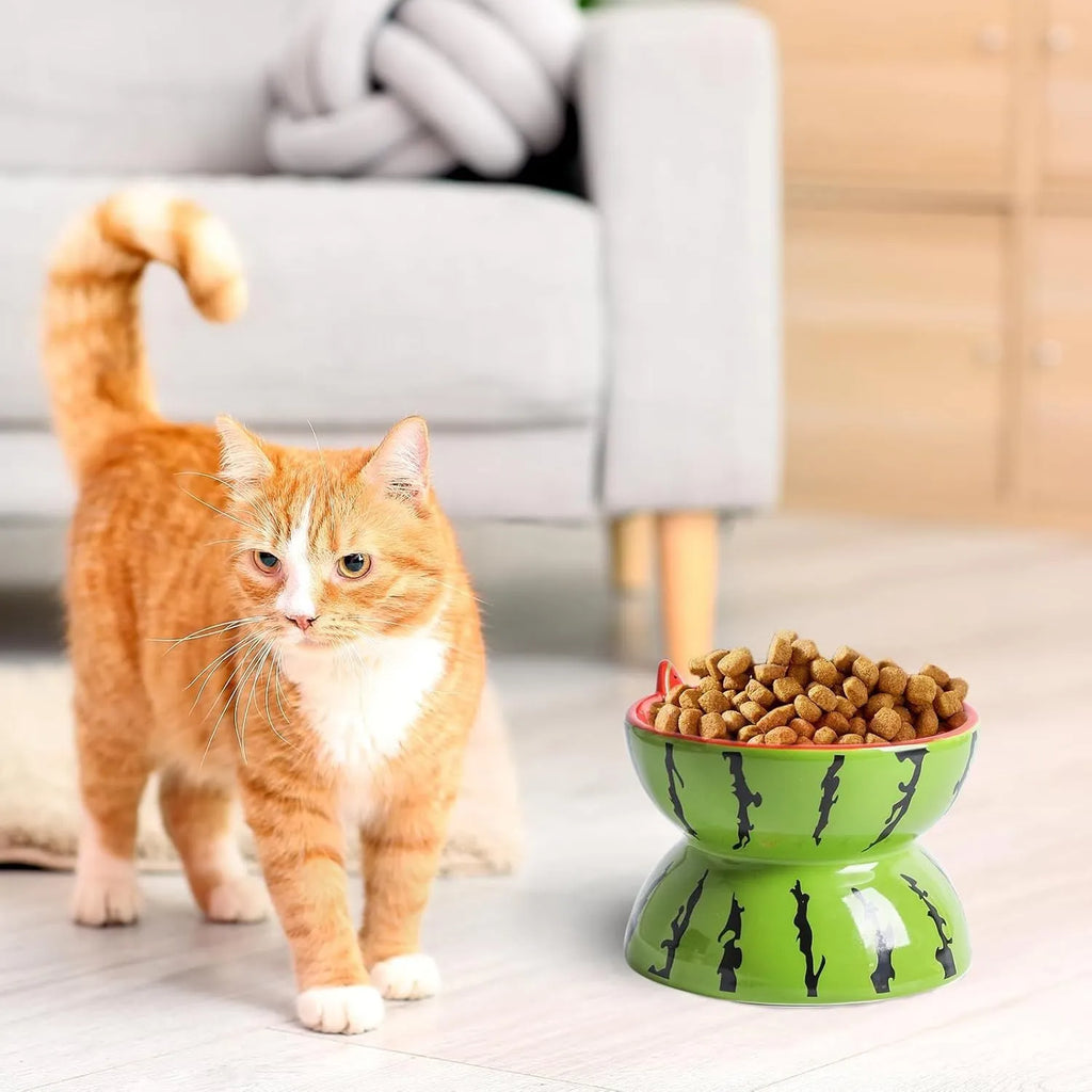 Ceramic raised cat bowl with tilted wide rim design in orange pattern for indoor cats