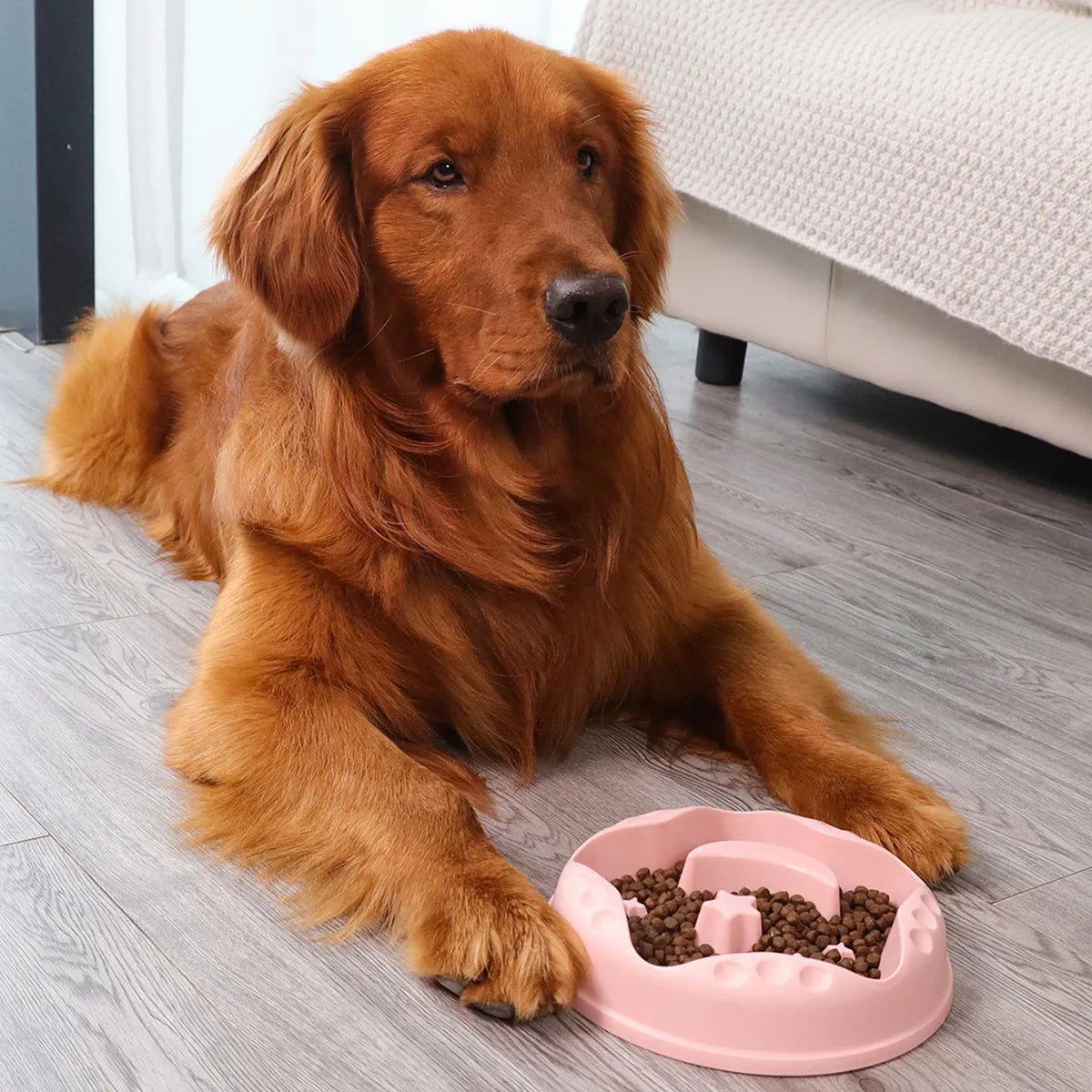 Blue plastic slow feeder dog bowl with moon, star, and wing-shaped interior ridges