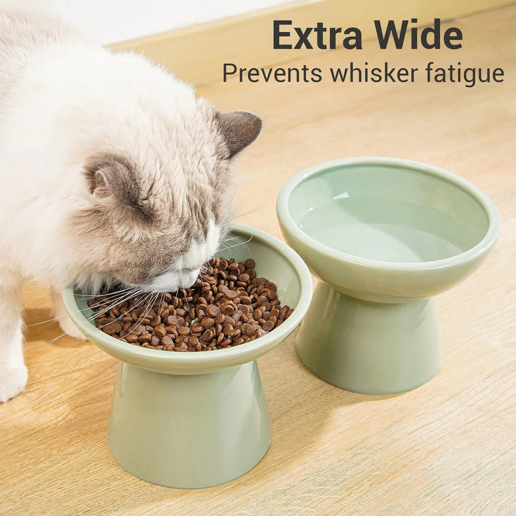 Ceramic elevated cat food and water bowls in blue, green, pink, and white colours