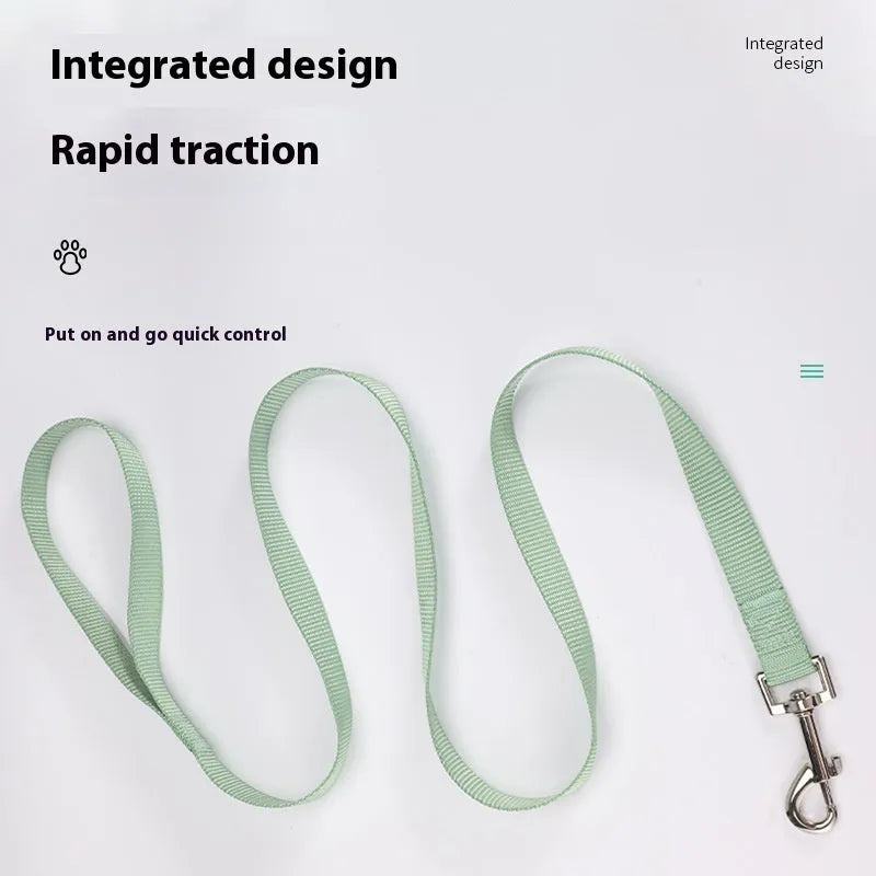 Solid colour nylon dog lead rope in blue, shown with a 120cm length and a hand holding it.