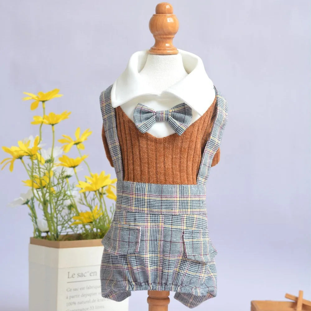 Orange and dark blue cotton dog shirt suit for small dogs on a hanger