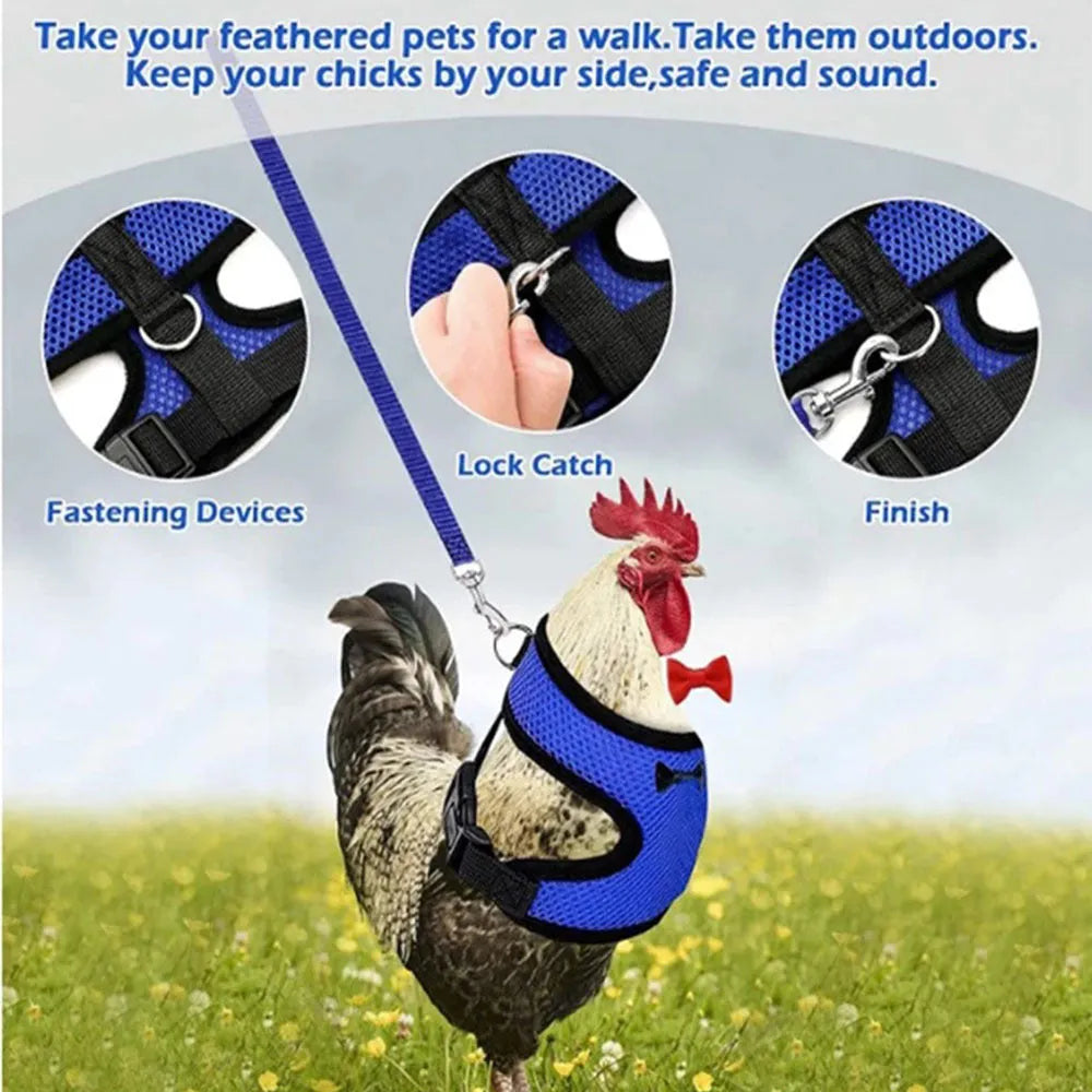 Poultry clothing set with chicken vest, matching collar and 110cm traction rope in multiple colour options
