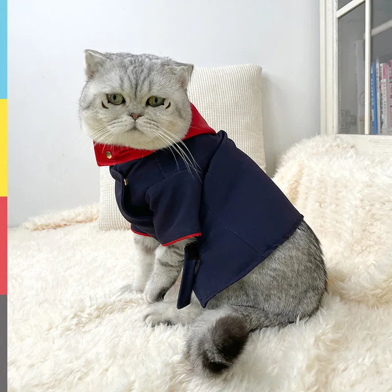 Tiger stripe hoodie costume on pet for photography