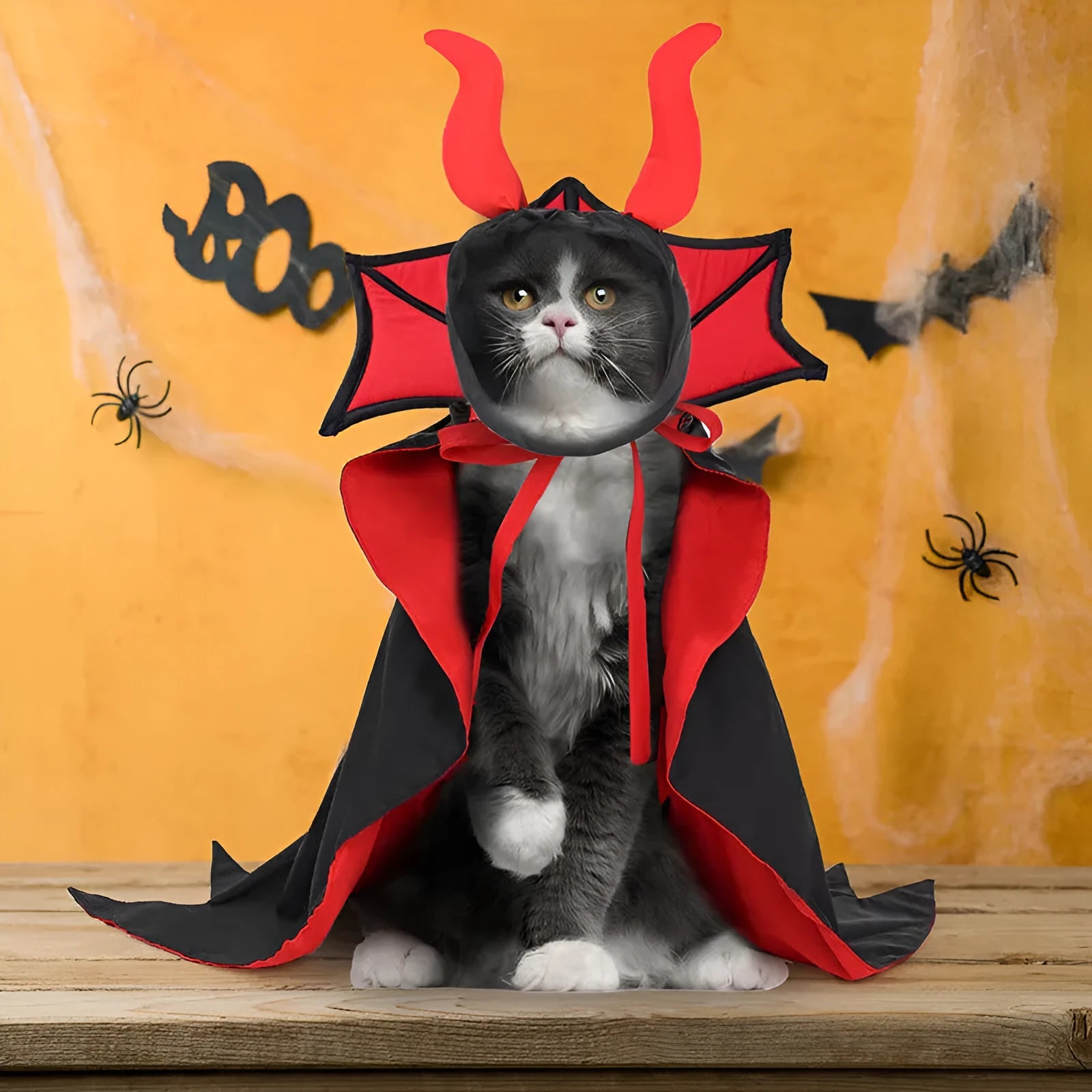 Black polyester vampire cloak and hat costume set for pets