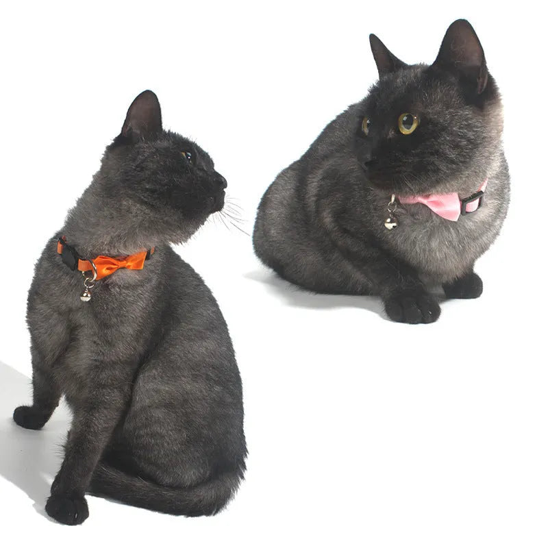 Adjustable striped nylon cat collar with bell in various colors including red, green, and blue