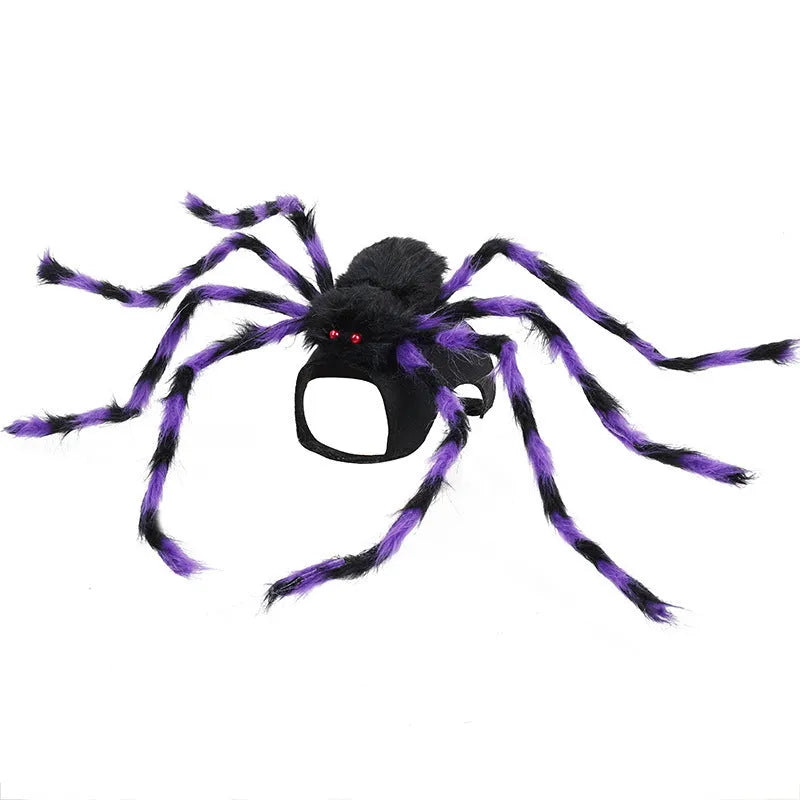 Halloween pet spider costume for dogs and cats in four colour options