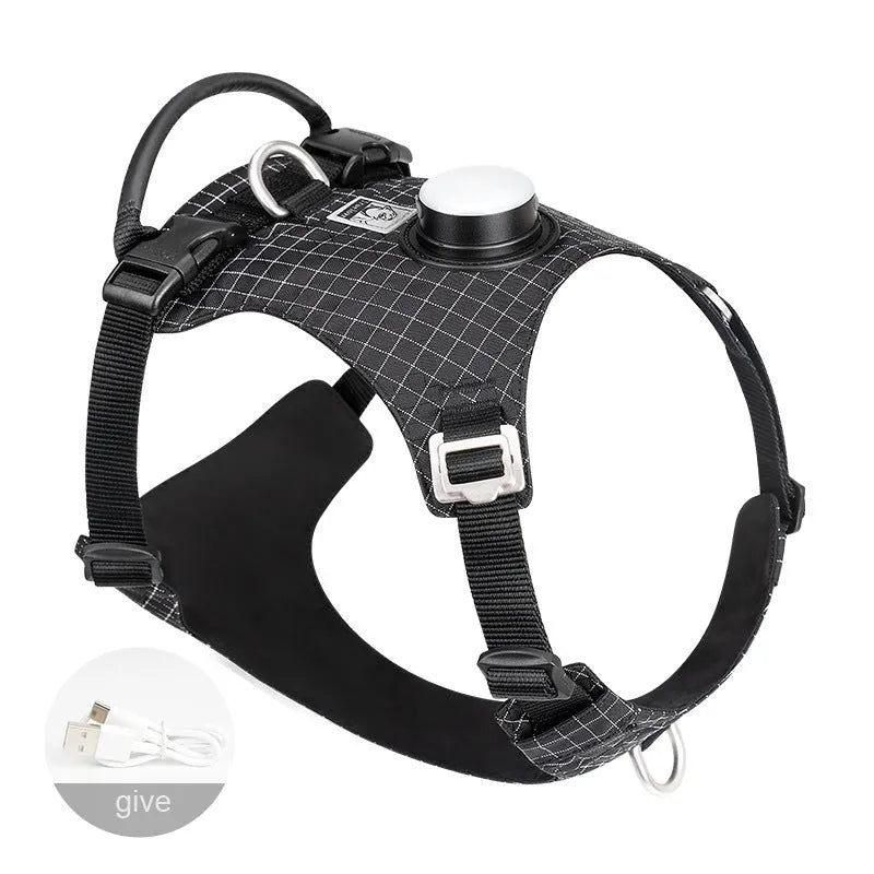 Nylon dog harness with LED light on chest strap, shown in light purple colour.