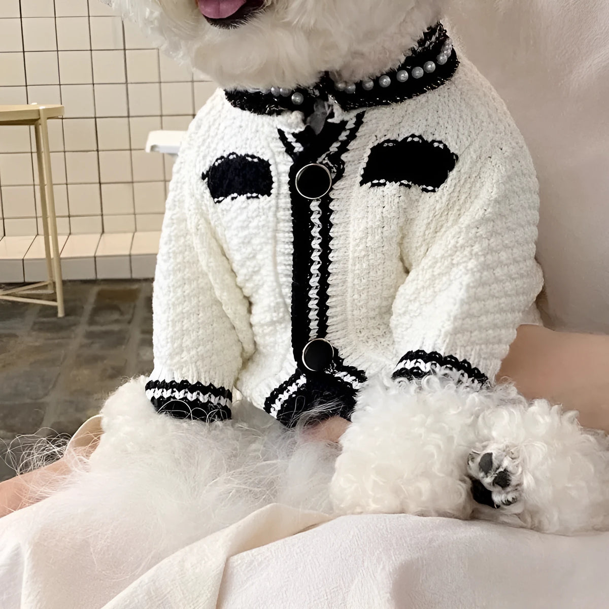 Korean princess style white dog sweater with pearl collar for small breed dog