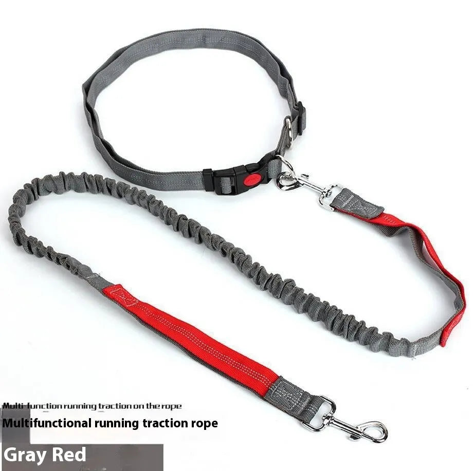 Grey and green two-tone nylon dog leash with reflective threads and an elastic section for outdoor running.
