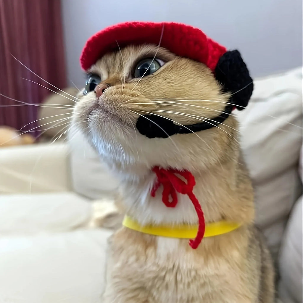 Handmade chef hat and knitted sweater costume for small to medium cat or dog