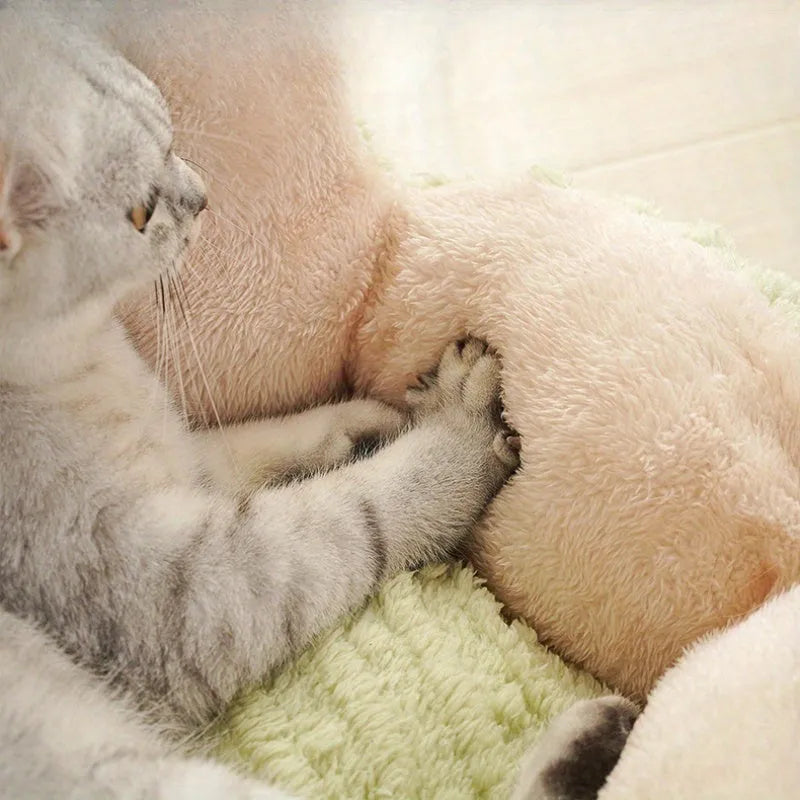 Soft green cactus-shaped pet kennel for cats and dogs on a wooden floor.