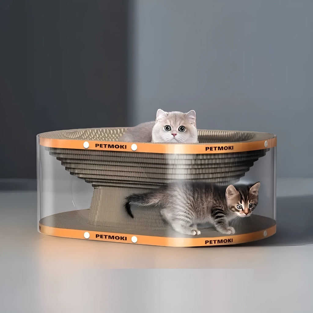 White transparent diamond pattern cat scratch board and tunnel nest combo for indoor use.