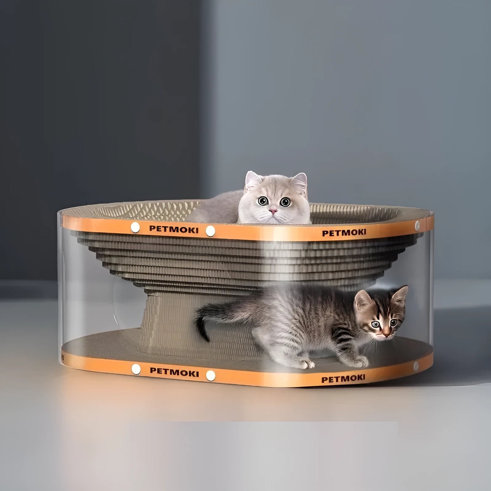 White transparent diamond pattern cat scratch board and tunnel nest combo for indoor use.