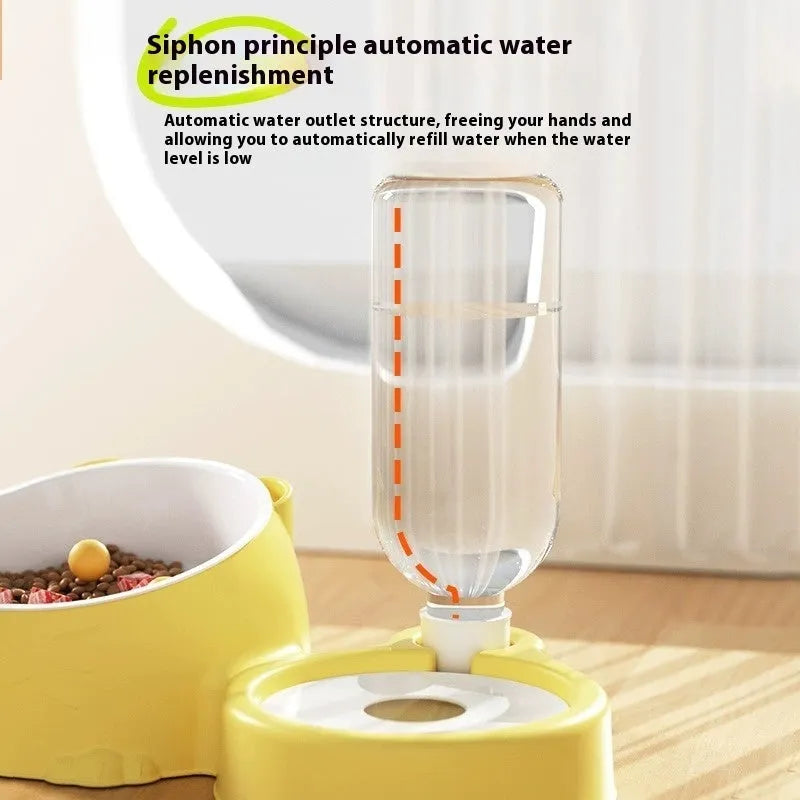 Double bowl automatic pet water fountain with stainless steel ceramic design in haze blue colour