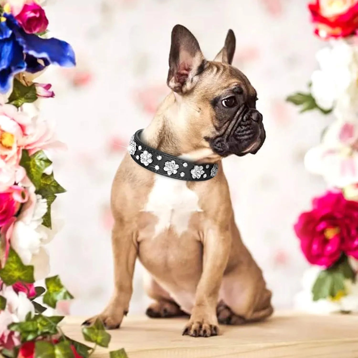 Cute PU leather dog collar with studded rhinestone flower pattern available in multiple colours for small and medium dogs