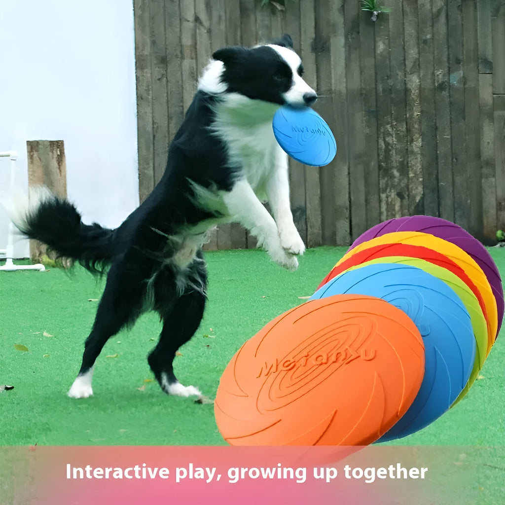 Soft rubber dog frisbee toy for outdoor walking available in red, blue, and green colour variations