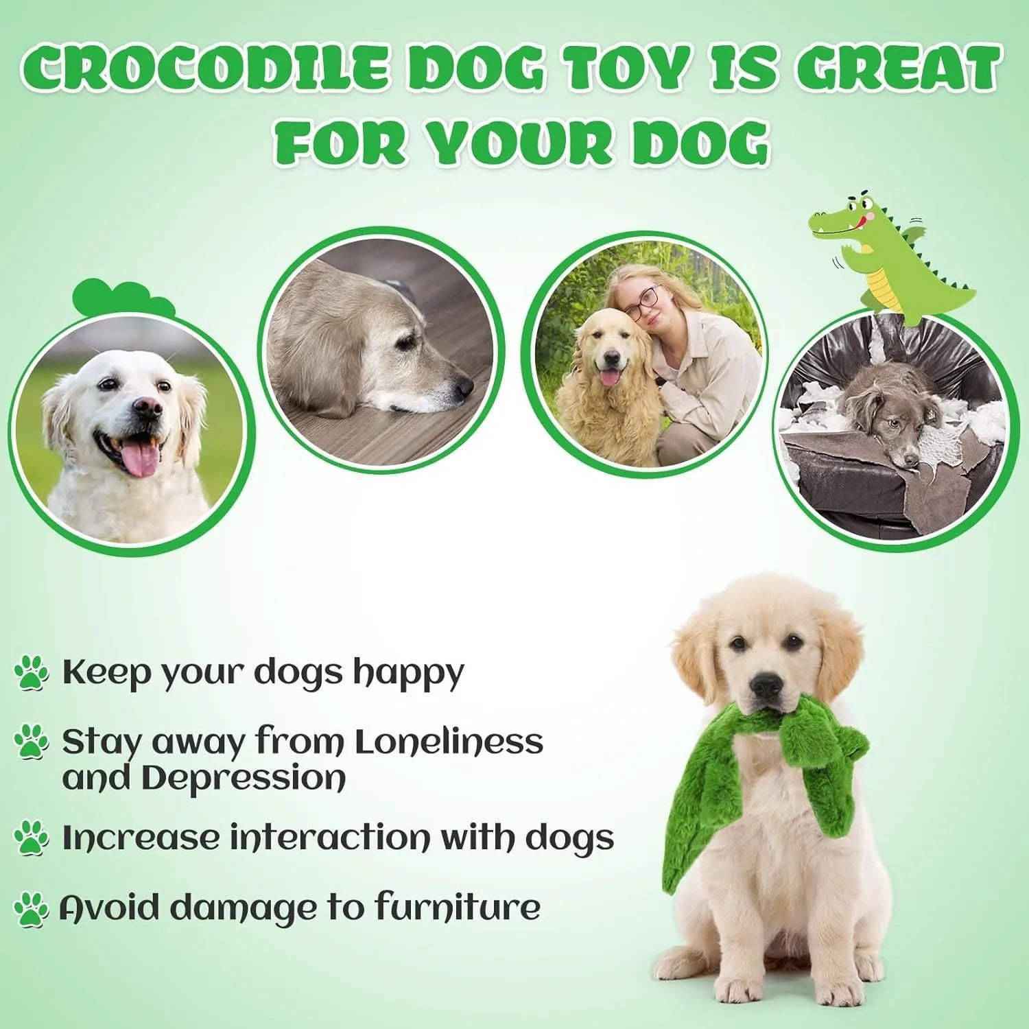 Green crocodile dog toy with no stuffing, squeaker in head and crinkle paper in tail